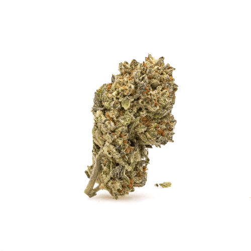 High-THCa Oreo Flower - Bud