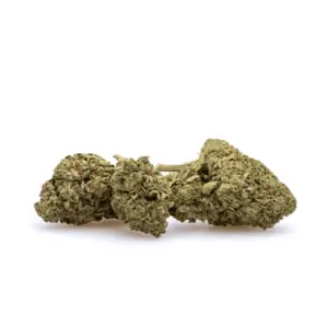 THCa Flower Granddaddy Purple - Pile