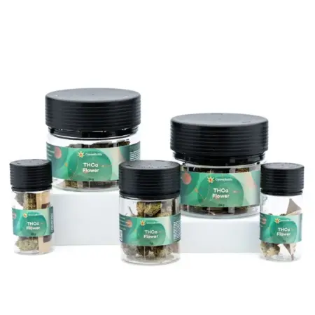 THCa Flower Granddaddy Purple - Jars Group Shot