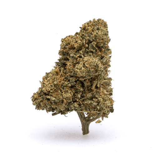 CBD Flower - Frosted Lime - Bud