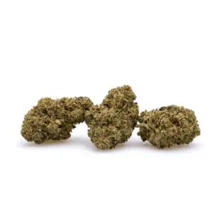 CBD Flower - Frosted Lime - Pile