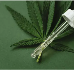 Delta 9 is first isolated and then used in cannabis products