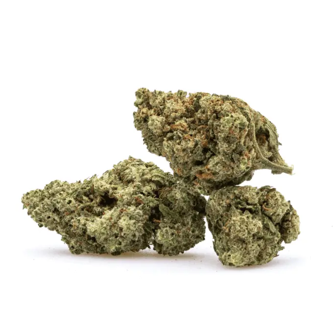 THCa Flower Oreoz - pile