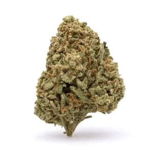 THCa Flower Watermelon Kush - Nug