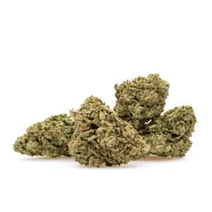 THCa Flower Watermelon Kush - Pile