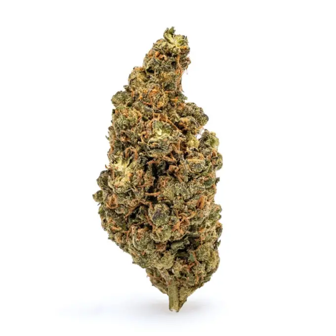 THCa Flower Amnesia Haze - Bud