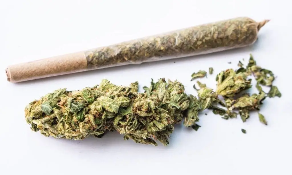 THCa flower is available in raw flower, pre rolls, and concentrates