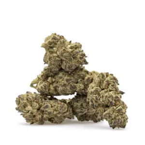 THCa Flower Black Cherry Soda - Pile