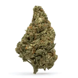 THCa Flower Blue Guava - Bud