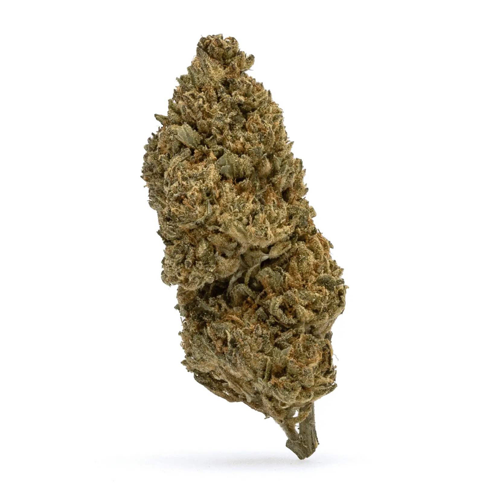 THCa Flower Gelato - Bud