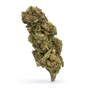 THCa Flower Ice Cream Cookies - Bud