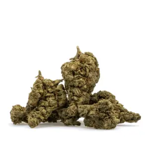 THCa Flower Jokerz Candy Pile