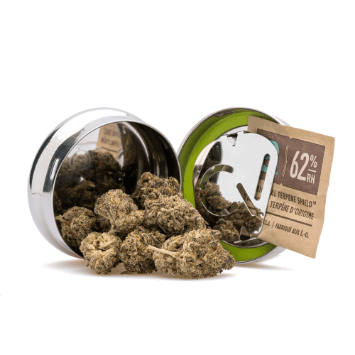 Boveda 1/4 Oz CVault Twist - X-Small - Jar Combo