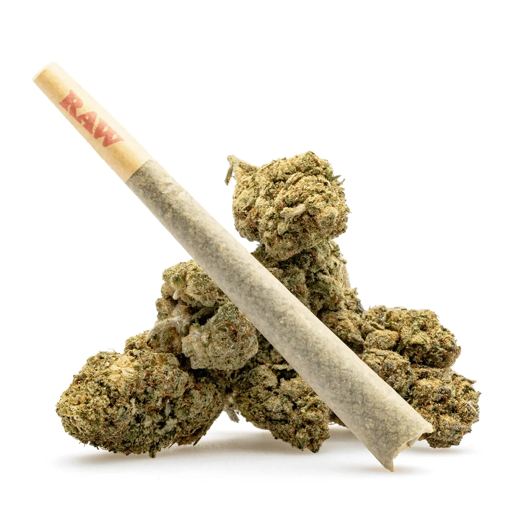 THCa Flower Pre-Roll Gold Cash - Product with Bud