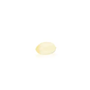 Mellow Fellow Wellness Softgel Capsules - Focus Blend (600 mg Total Cannabinoids) - Single