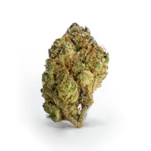 THCa Flower OG Kush - Bud