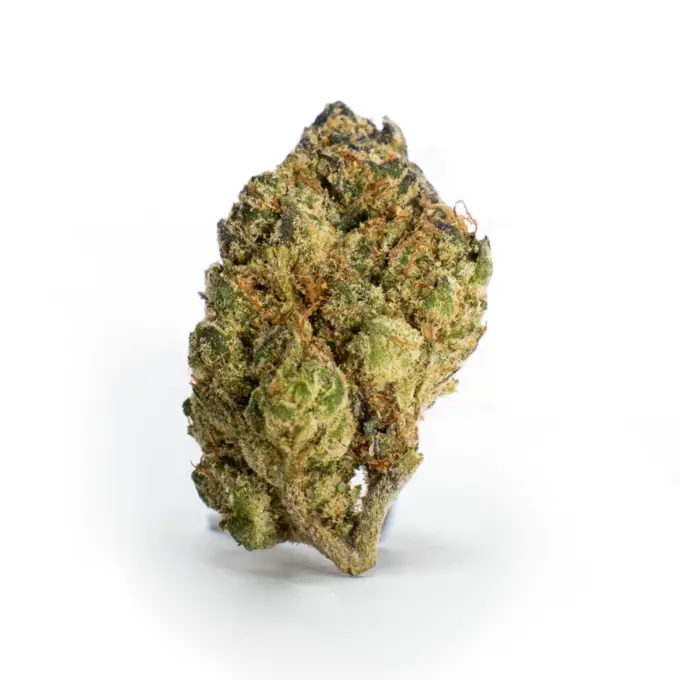 THCa Flower OG Kush - Bud