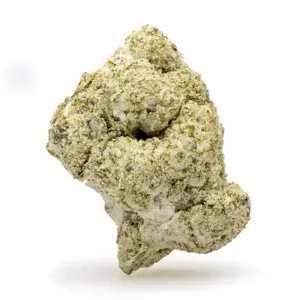 THCa Flower Snow Caps Black Truffle Pie - bud