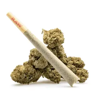 THCa Flower Pre-Roll Jokerz Candy - Product with Bud