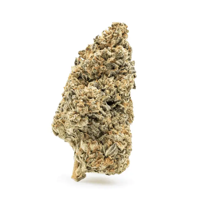 THCa Flower Cereal Milk - nug
