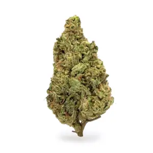 THCa Flower Acapulco Gold - Nug