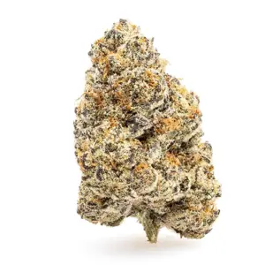 THCa Flower Banana Zkittlez - Nug