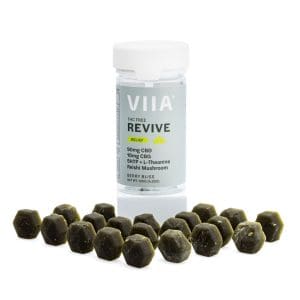 VIIA CBD and CBG Revive Relief Gummies - THC Free - Combo
