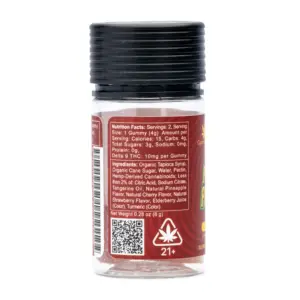 CannaBuddy Delta 9 THC Gummies - Punch Parade 2pk- Jar Back
