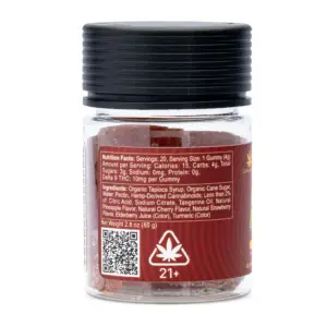 CannaBuddy Delta 9 THC Gummies - Punch Parade - Jar Back