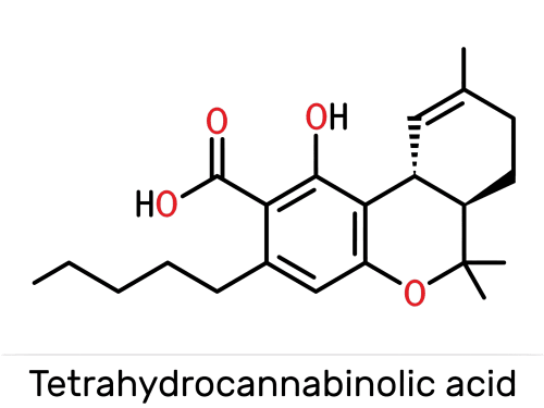 The chemical makeup or THCa, including its additional acid group.