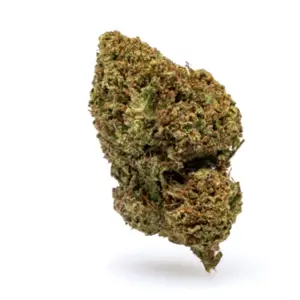 THCa Flower Jack Herer - Nug