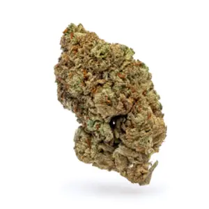 THCa Flower Purple Cream - Bud