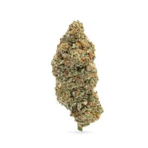 THCa Flower Night Walker Bud