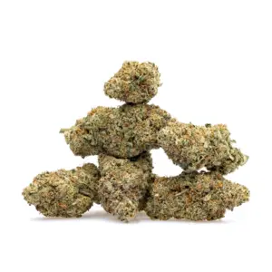 THCa Flower Night Walker Bud