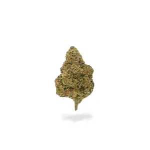 THCa Flower Northern Lights - Bud