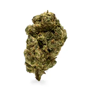 THCa Flower Hindu Kush bud