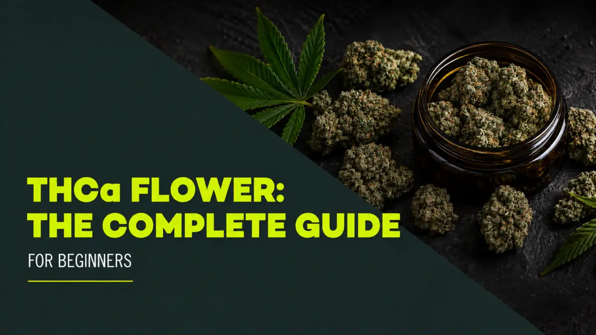 THCa Flower The Complete Guide Blog Hero Image