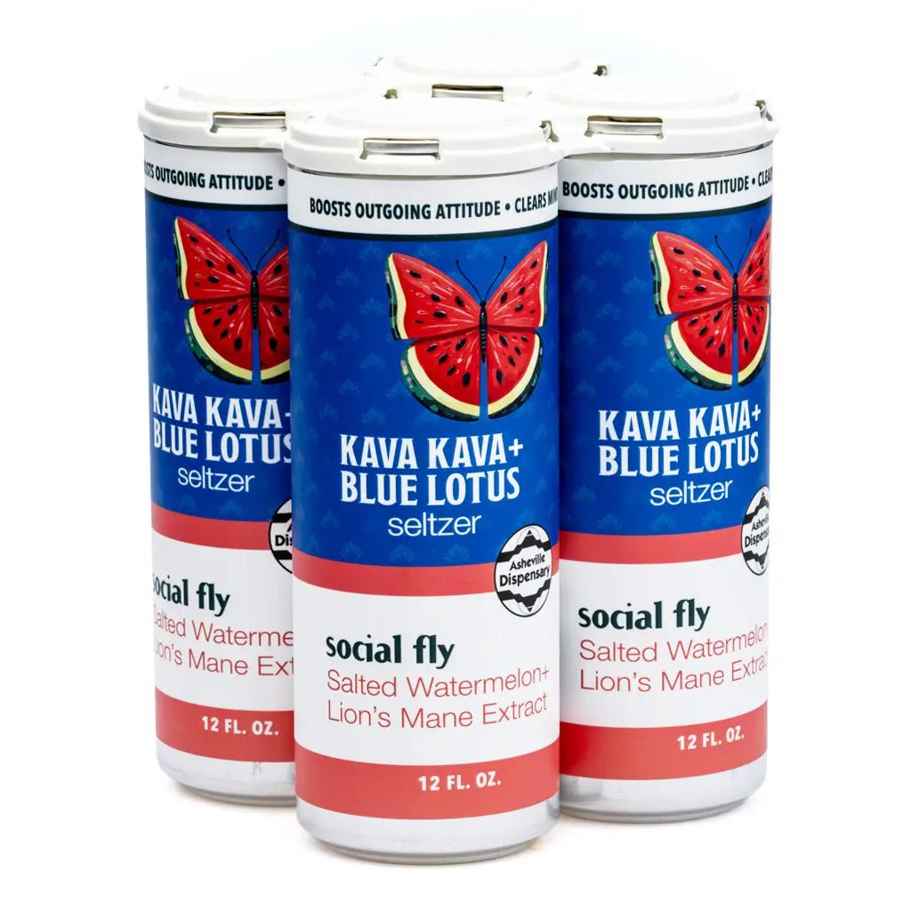 Asheville Dispensary Kava Kava Seltzer Watermelon Lions Mane 4 Pack Front