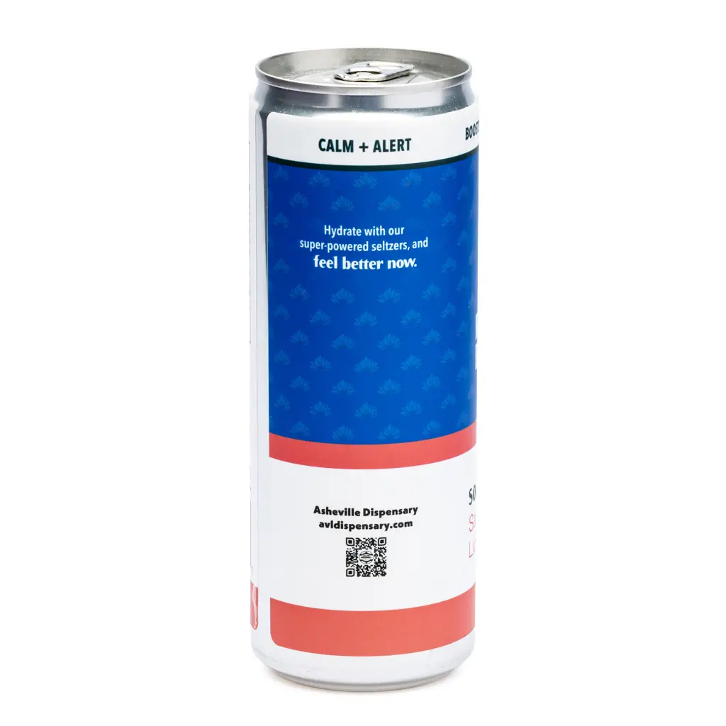 Asheville Dispensary Kava Kava Seltzer Watermelon Lions Mane Can Back