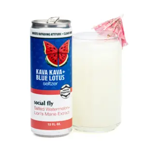 Asheville Dispensary Kava Kava Seltzer Watermelon Lions Mane Combo
