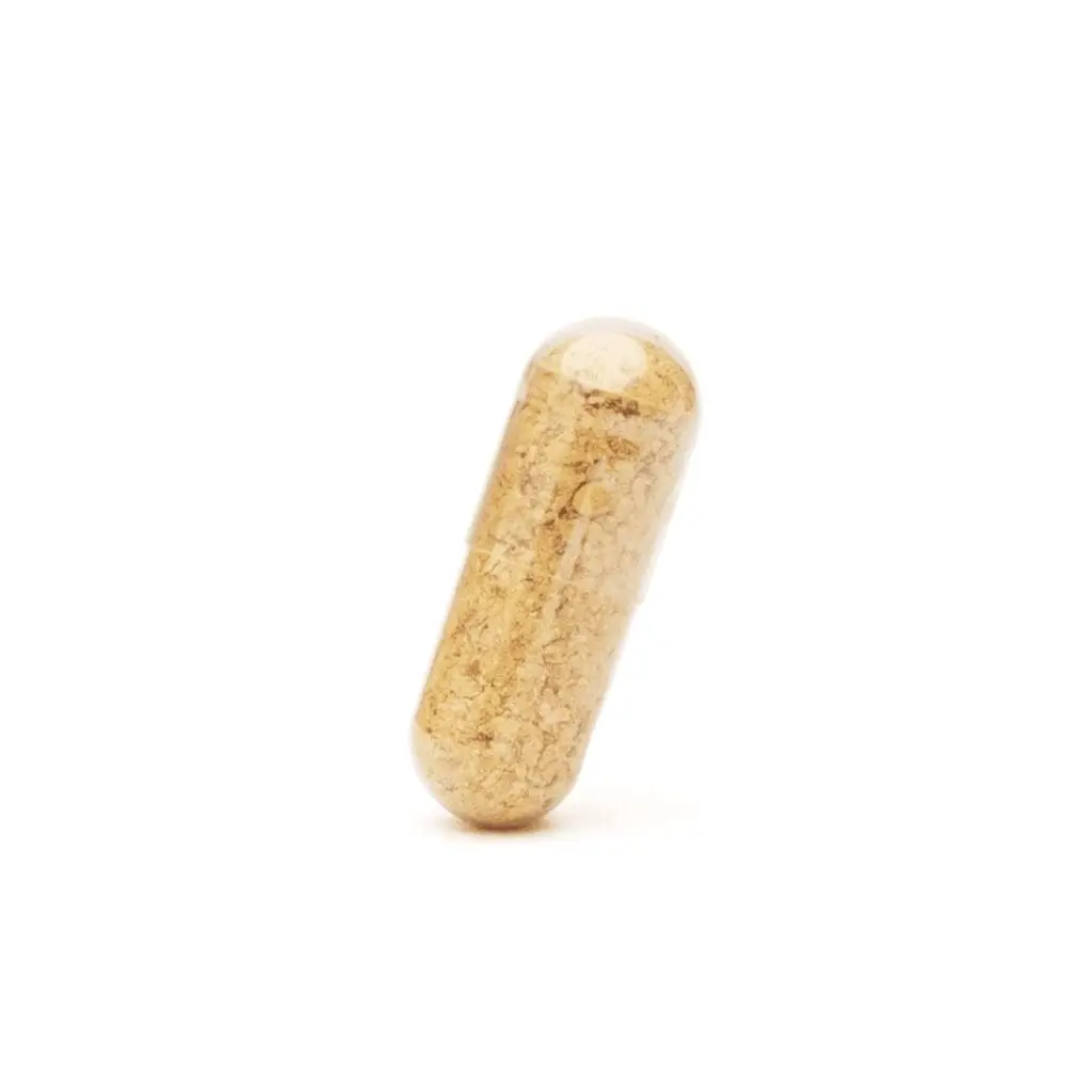 Dreamer Shrooms Amanita Muscaria Mushroom Capsules (10 Count) - Image 3