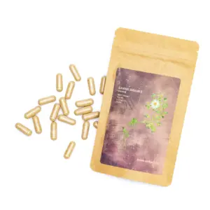Kanna Extract Co. Kanna Capsules - Dream Combo