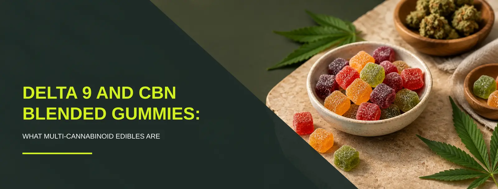 Delta 9 CBN gummies arranged in a warm flat-lay with soft natural light on a muted textured surface