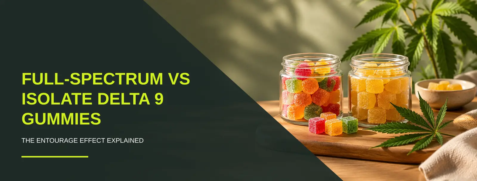 Full spectrum delta 9 gummies in a warm flat-lay beside hemp leaves and dropper bottles, soft natural light
