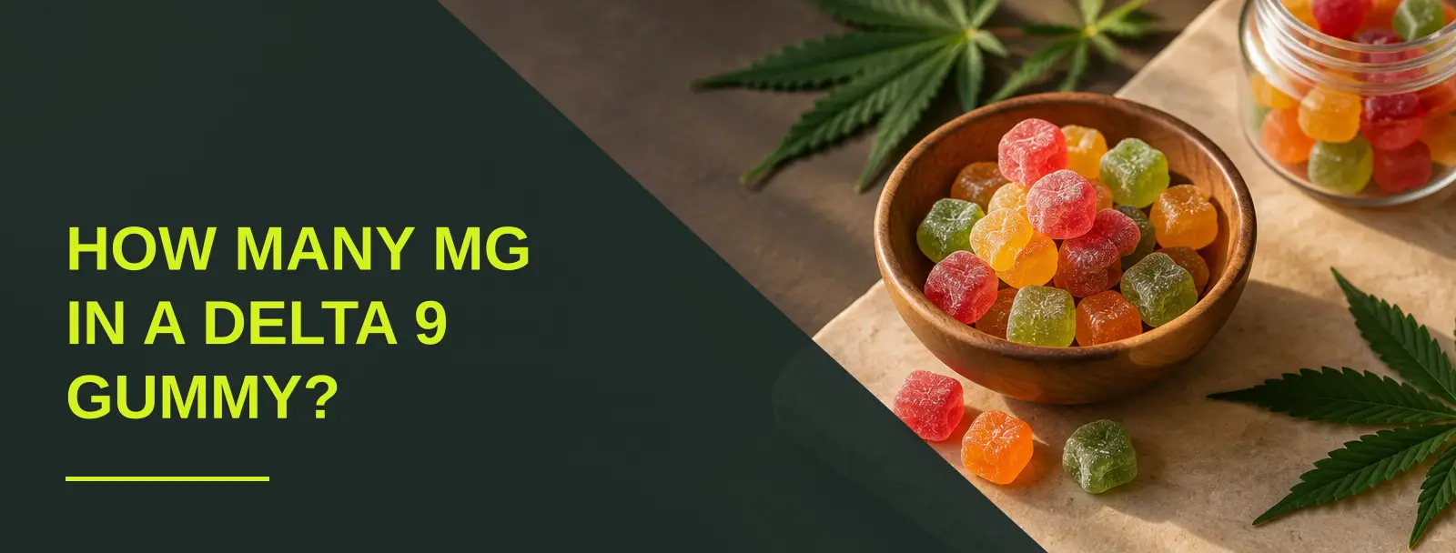 Delta 9 gummies in a warm flat-lay beside a dropper bottle, illustrating how many mg in a delta 9 gummy per piece